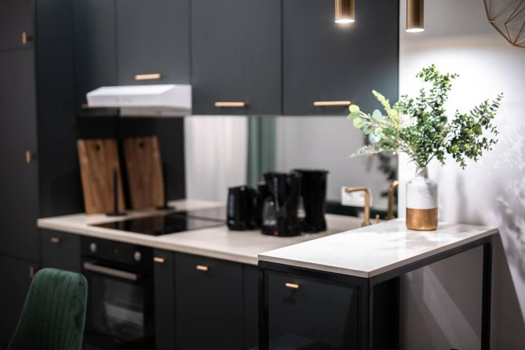 Roberto Boutique Studio Apartman 萨格勒布 外观 照片