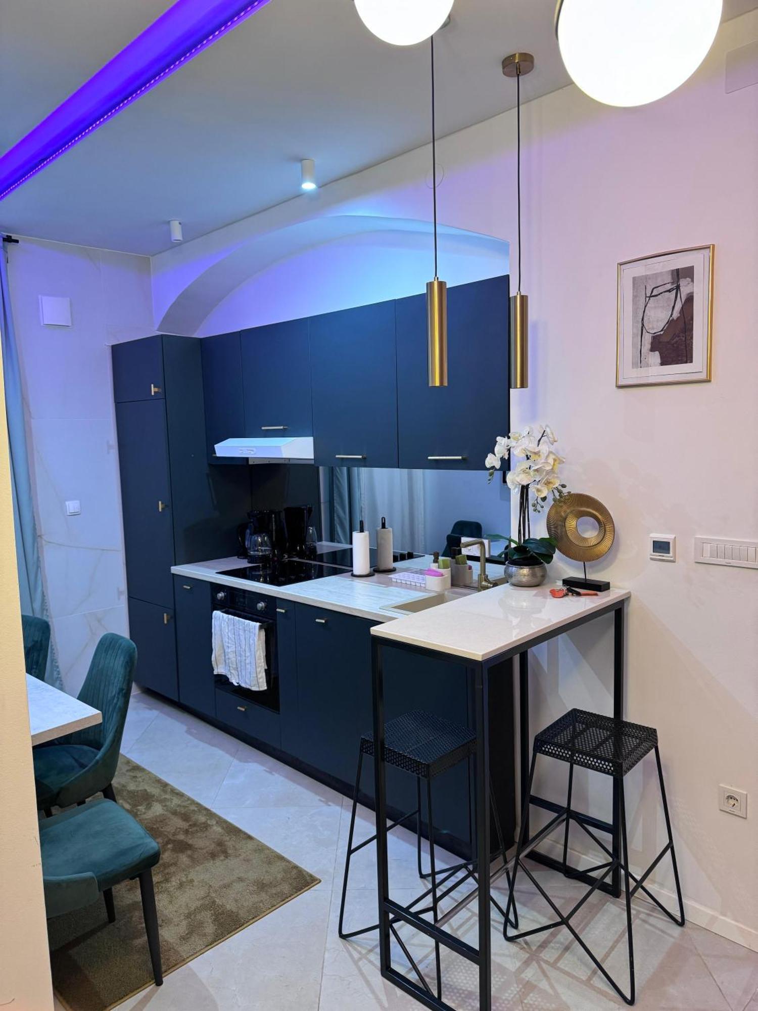 Roberto Boutique Studio Apartman 萨格勒布 外观 照片